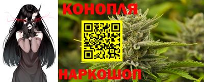 дмт Новозыбков