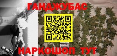 дмт Новозыбков
