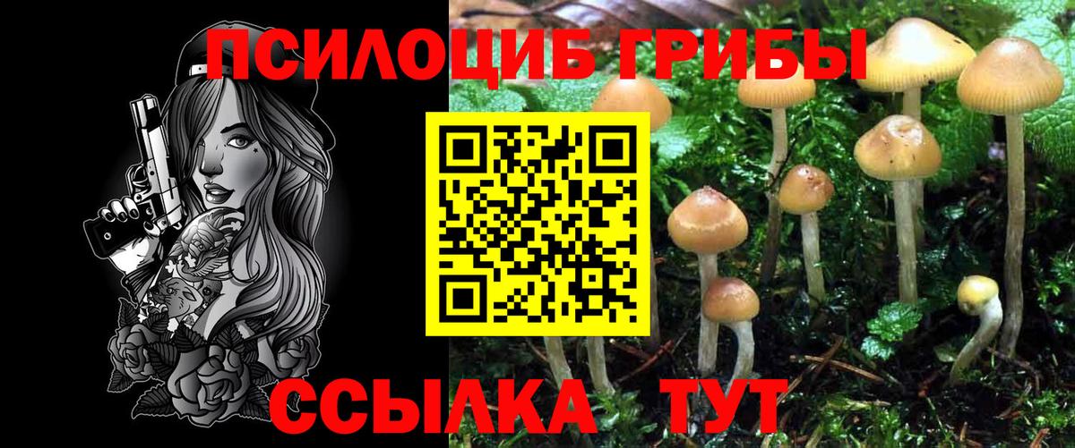 Псилоцибиновые грибы Magic Shrooms  где купить наркоту  Симферополь  Галлюциногенные грибы ЛСД  Вход с VPN 